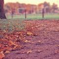 Priya Sharma's photo